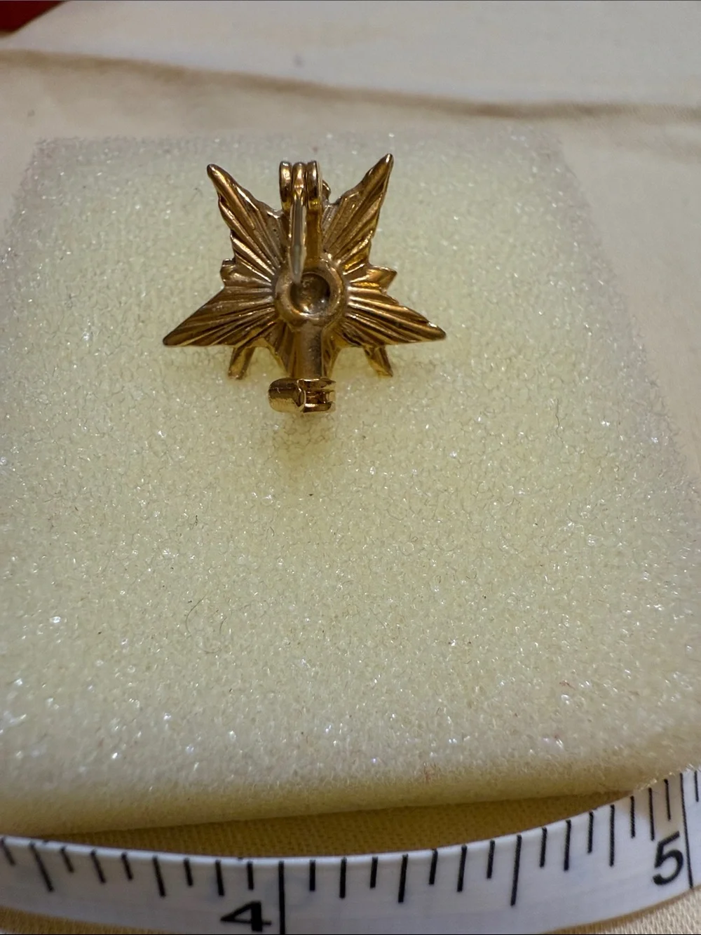 Gold-Tone OES Worthy Patron Star Lapel Pin - Women Jewelry